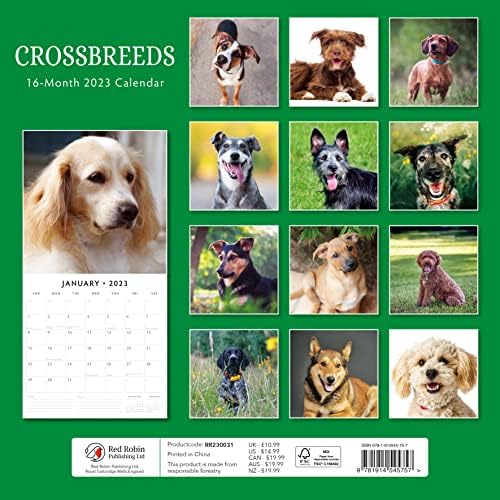 2023 CrossBreeds mjesečni zidni kalendar Crvenog robin kalendara 12 x 12