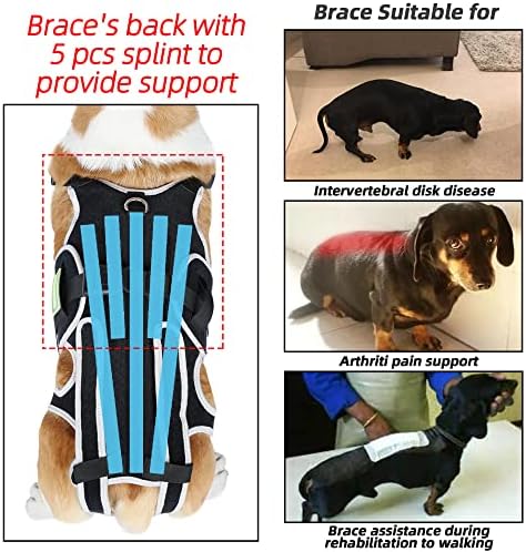 Jocund pas leđa Brace za IVDD, artritis bol Relief za pse, leđa zaštitnik pomoć hirurški oporavak,
