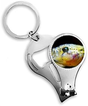 Marine organizam Mala tropska riblja nokti za noktene prstene za ključeve ključeva za ključeva
