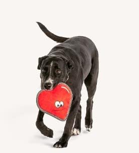 Joyhound Trackirane igračke za pse za srce za agresivne žvakače, tvrdo agresivne igračke za žvakanje pasa, igračka za čijek za štene, srednje i velike pse