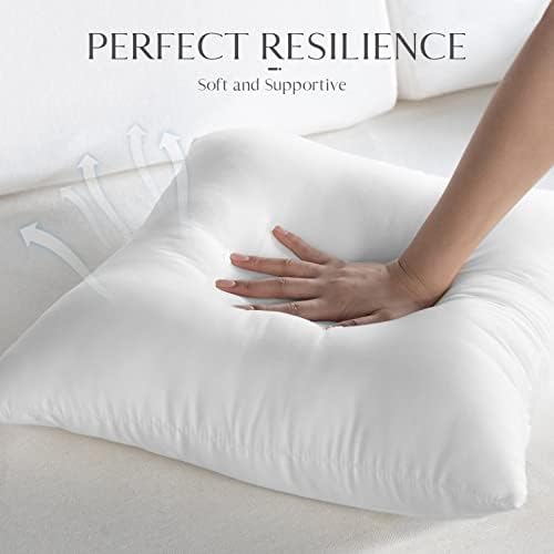 Ashler 18 x 18 vanjski jastuk set od 4 vode otporni na jastuk za jastuk premium hipoalergeni jastuk