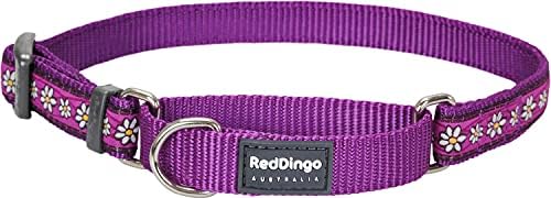 Crveni Dingo dizajner za martingale ovratnik za pse, mali lanac tratinčica ljubičasta