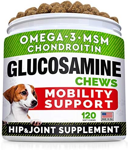Glukozamin tretira + probiotici prah za mačke i pse Bundle - zajednički Dodatak W / Omega-3 riblje ulje + ublažava dijareju, uznemireni stomak-hondroitin, MSM + probavni enzimi, prebiotici-napravljeni u nama