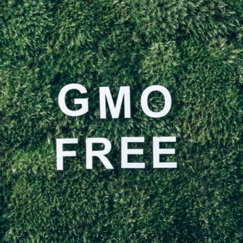 Mistični trenuci | Jela Crna esencijalna ulja 1kg - čisto i prirodno ulje za difuzore, aromaterapiju i masažne mješavine Vegan GMO Besplatno