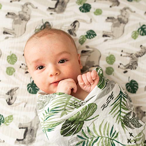 Bebe au lait Jungle Rainforest Muslin Swaddle pokrivač, zelena, jedna veličina