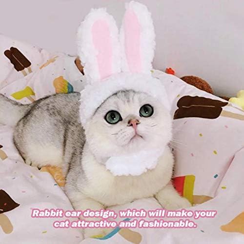 Kašilica mačaka, zečja hat Party PET kostim za glavu za mačke i male pseplush igračke