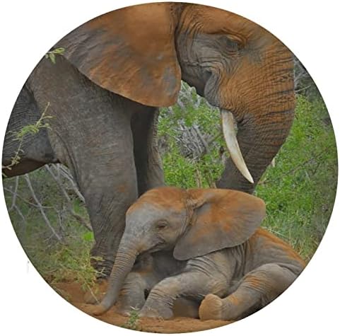 ERUXUGB najslađa beba životinja / Mama Elephant & Baby okrugli jastuk