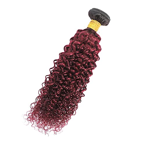 Feelgrace 1b Burgundy Kinky Curly Human Hair Extension snopovi Ombre Crna do vina crvena brazilska Remy Hair