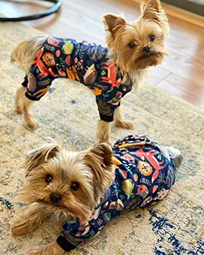 StepBone pas pidžama Mali paket | Noć vještica lubanja pidžama i životinja štene pjs za male pse