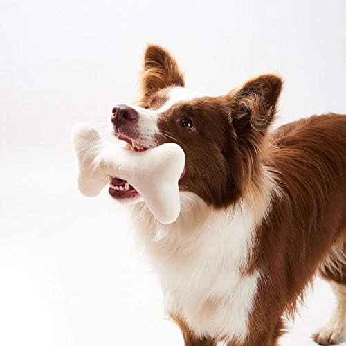 Joyelf Squeaky pse plišani pas žvakač igračaka za pse štenete, interaktivne ne toksične potjere