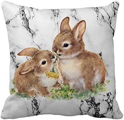 Jflyou uskršnji zec sa jastukom navlake za uređenje jastuka, navlake za ilustraciju Easter Bunny