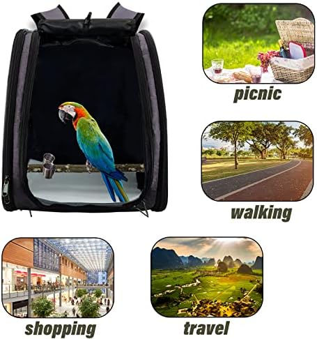 GABraden ruksak za nošenje ptica putni kavez za papagaje sa prijenosnim postoljem i kantama za hranjenje,vodootporni jastučići,prozračni putni ruksak za ptice,ruksak za kućne ljubimce papagaja za putovanja ptica(siva)