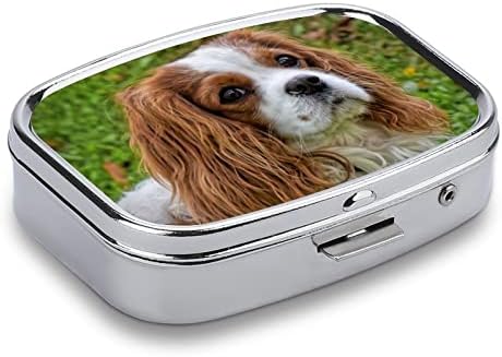 Dozator za pilule prirodna kutija za pse prenosiva metalna kutija za pilule za pilule / Vitamin