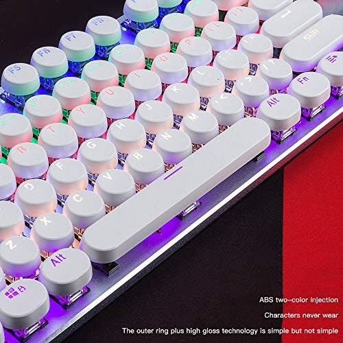 CAPTIANKN RGB Mechanical Gaming tastatura sa 87 tastera, LED pozadinsko osvetljenje, vodootporna i Antikonfliktna,
