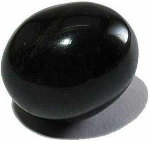 Om Shri Om Shaligram kameni crni čist i original za pooju