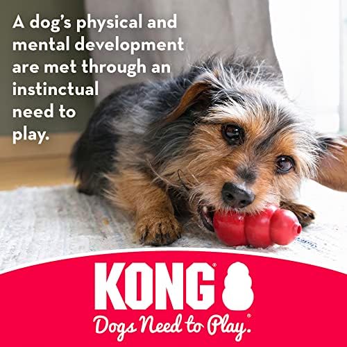 KONG-Goodie kosti-izdržljiva gumena žvakaća kost, poslastica za izdavanje pseće igračke - za velike pse